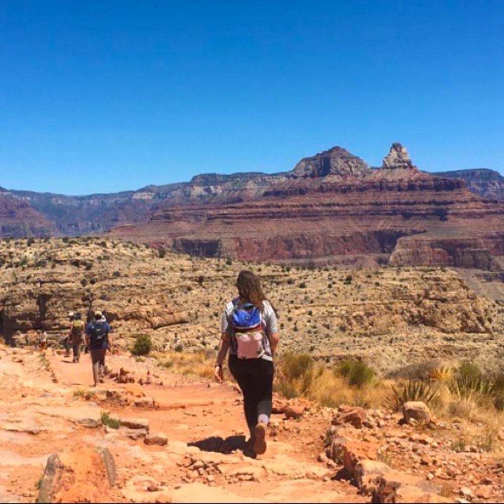 Meet your Posher, Casey